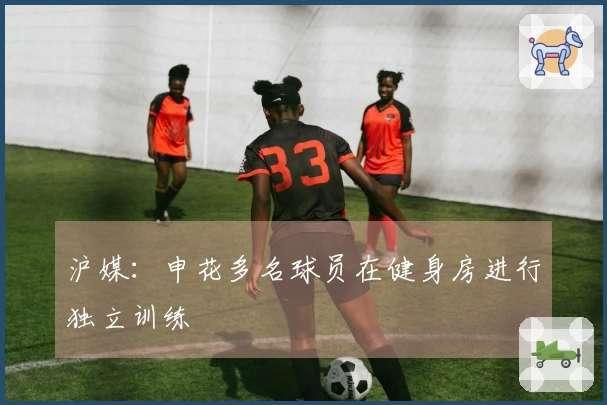 沪媒：申花多名球员在健身房进行独立训练