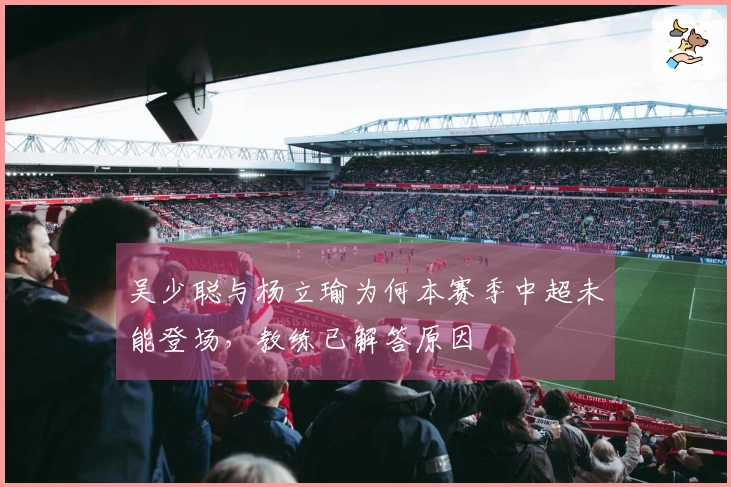 吴少聪与杨立瑜为何本赛季中超未能登场，教练已解答原因