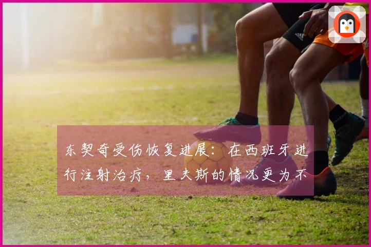 东契奇受伤恢复进展：在西班牙进行注射治疗，里夫斯的情况更为不明确
